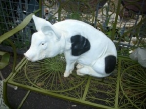 the conservatory pig resin animal hove