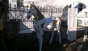 resin pony the conservatory hove sussex