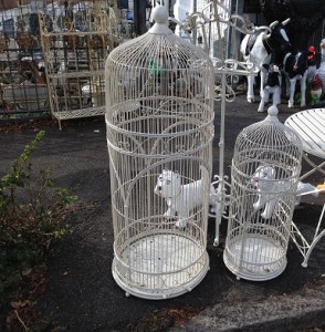 Bird cages hove conservatory