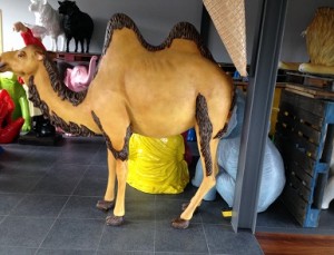 Big Camel resin animal hove conservatory