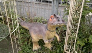 Velociraptor resin animal hove conservatory