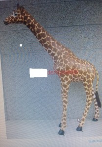 resin animal giraffe hove conservatory sussex