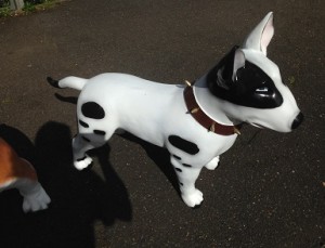 Bull Terrier resin animal hove conservatory sussex