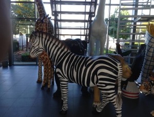 Zebra animal resin figure brighton hove conservatory