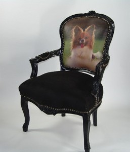 papillon dog chair upholstery theconservatoryhove dvn-0575