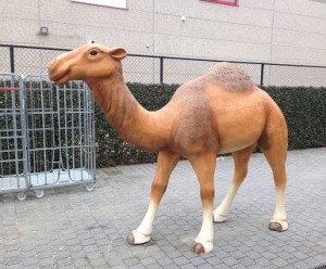 resin camel lifesize animal figure the conservatory
